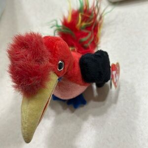 Host Pick! Frills Beanie Baby